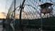 Von Stacheldraht umgeben: das US-Gefanenenlager Guantánamo auf Kuba (Foto: AP) Von Stacheldraht umgeben: das US-Gefanenenlager Guantánamo auf Kuba (Foto: AP)
