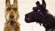 Filmstill | Isle of Dogs - Ataris Reise Filmstill | Isle of Dogs - Ataris Reise