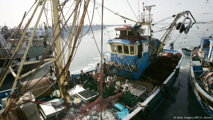 Westsahara Hafen von Laayoune (Foto: Getty Images/AFP/A. Senna)