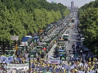 德国农民在柏林举行示威活动