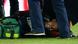 Frankreich Neymar verletzt auf dem Platz Frankreich Neymar verletzt auf dem Platz