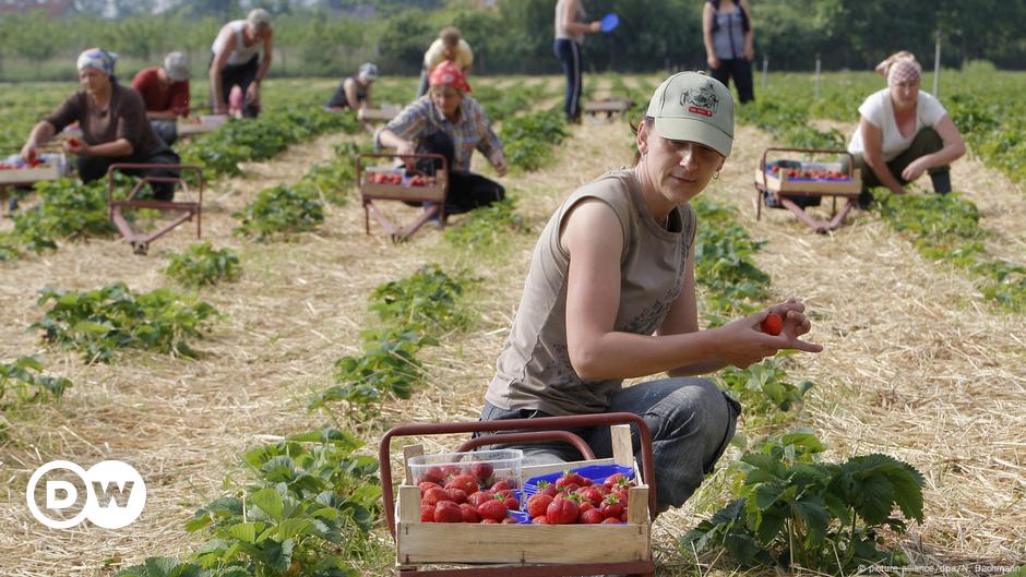 ukrainians-struggle-to-reach-eu-for-seasonal-work-dw-05-16-2020