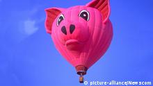 USA | Heißluftballon in Schweinchenform (picture-alliance/Newscom)