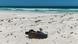 Flasche im Sand Flasche im Sand