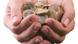 A pair of hands full of euro coins A pair of hands full of euro coins