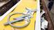 Broken Opel sign in a trash receptacle Broken Opel sign in a trash receptacle