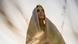 Film still from Mary Magdalene Film still from Mary Magdalene