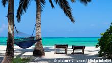 tropischer Strand mit Palmen, Liegestuehlen und Haengematte, Tansania, Sansibar | tropical beach with palm trees, hammock and canvas chairs, Tanzania, Sansibar | Verwendung weltweit