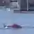 Hubschrauber stürzte in New Yorks East River (Reuters)