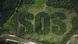 SOS carved into Indonesian palm oil plantation SOS carved into Indonesian palm oil plantation