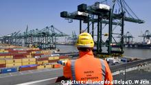 Ein Arbeiter mit Warnweste steht am 10.05.2017 im Containerhafen «MSC PSA European Terminal» (MPET) in Antwerpen (Belgien). (Fotos am 15.05.2017 zur Verfügung gestellt.) (zu dpa: Binnenschiffer beklagen massive Verzögerungen beim Containerumschlag vom 03.07.2017) Foto: Dirk Waem/BELGA/dpa +++(c) dpa - Bildfunk+++ |