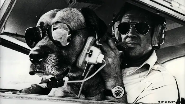 Hund und Pilot im Flugzeug
