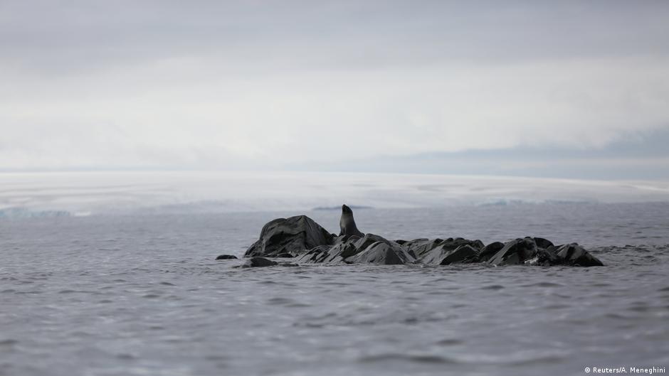New Antarctic Ocean Sanctuary Delayed As Three States Vote Against News Dw 02 11 2018