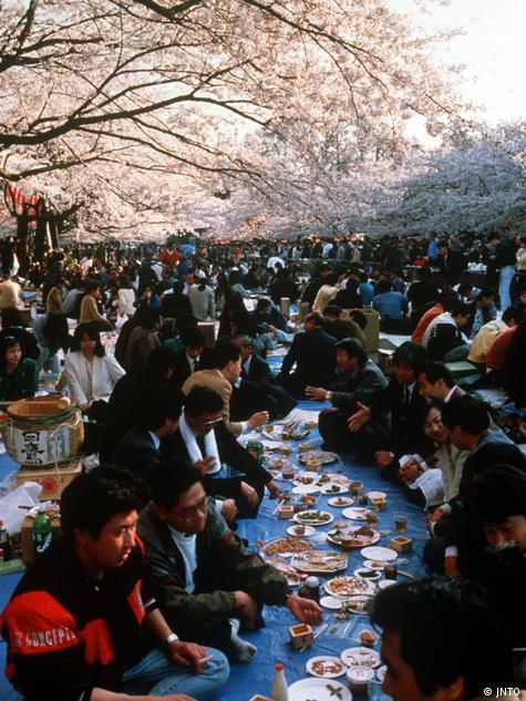 Sakura Picnic Party