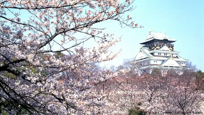 Japan Osaka - Kirschblütenfest (JNTO/Osaka Convention & Tourism Bureau)