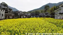 China Frühling in Wuyuan (picture-alliance/Xinhua/H. Dunhuang)