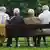 Немецкие пенсионеры на скамейке