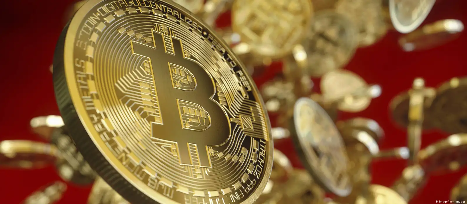 Police bust €100 million online trading scam