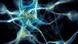 3D Darstellung von Gehirnzellen - Nervenzellen 3D Darstellung von Gehirnzellen - Nervenzellen
