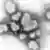 Вирус гриппа типа А в поле зрения электронного микроскопа