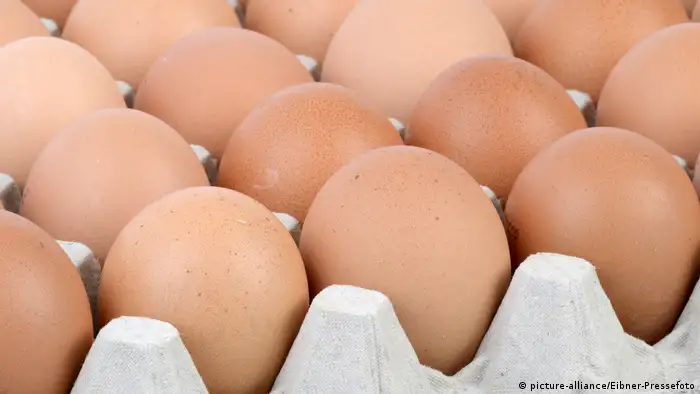 Hühnereier liegen in einer Palette. (picture-alliance/Eibner-Pressefoto)