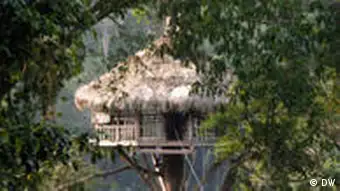 Gibbonexperience: Outdoor- und Ökoabenteuer in Laos