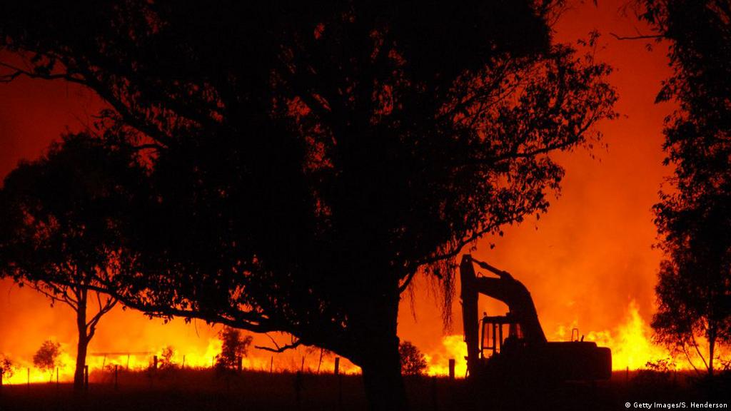 In The Eye Of The Firestorm Surviving Australia S Most Extreme Bushfire Conservation Dw 10 04 18