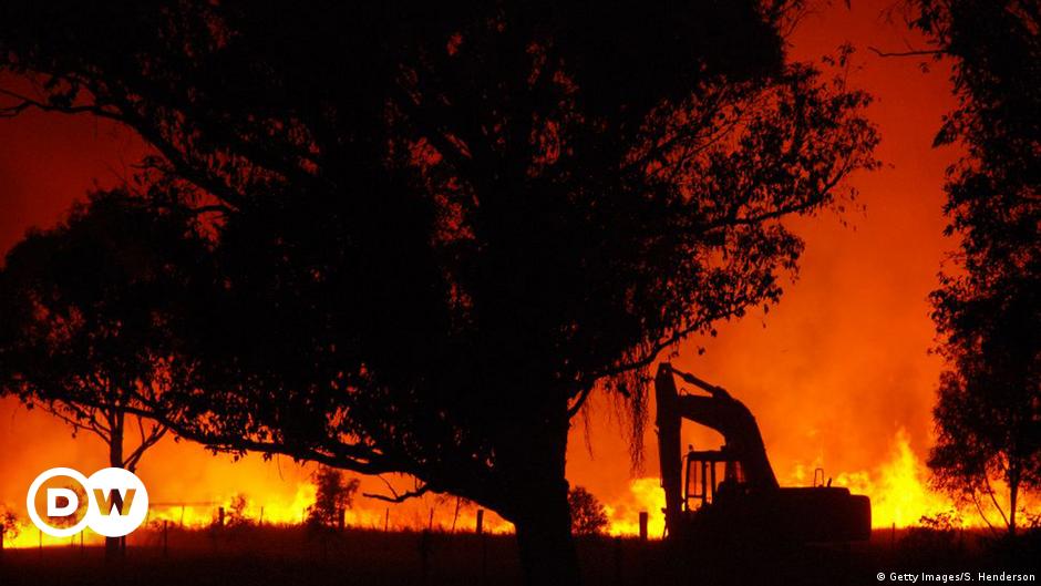 Surviving Australia's most extreme bushfire