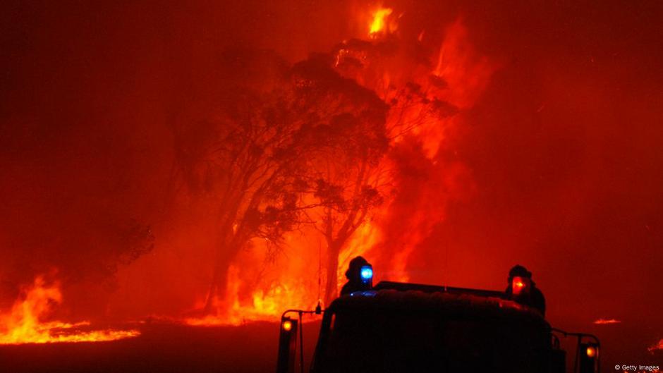 In The Eye Of The Firestorm Surviving Australia S Most Extreme Bushfire Conservation Dw 10 04 18