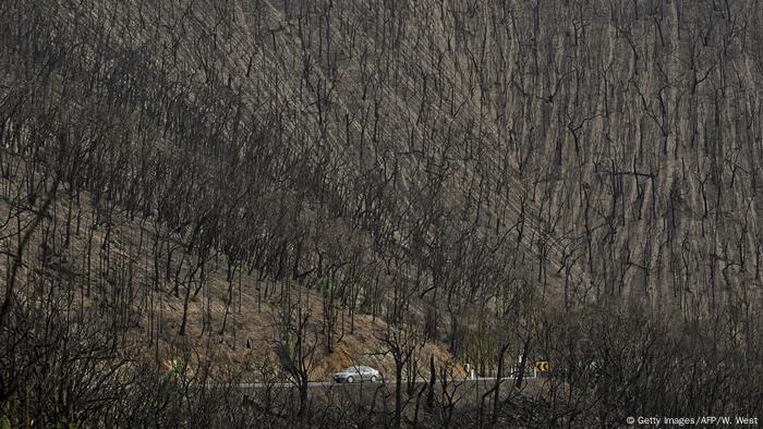 Australia | Black Saturday bushfire 2009 in Victoria