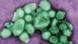 H1N1 virus as seen through a microscope H1N1 virus as seen through a microscope