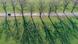 Arial shot of a car driving along a tree-lined road Arial shot of a car driving along a tree-lined road