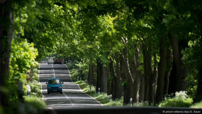 Old car alley on the island of Rügen