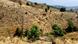 Hills deforested for growing maize Hills deforested for growing maize