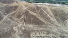 Geoglifos en Perú (picture-alliance/dpa/G. Bautista)