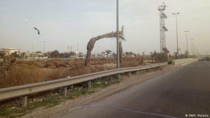Palmen Katastrophe in Irak (DW/A. Malaika)