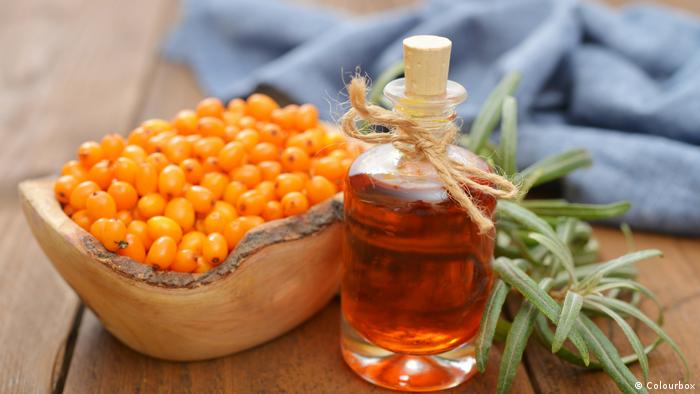  Зърната на растението облепиха, известно още като ракитник, съдържат доста повече витамин C от портокалите и лимоните. Високото наличие на витамин B12 пък го прави изключително привлекателно за веганите, защото той другояче се съдържа единствено в животинските артикули. По северното крайбрежие на Германия - региона на Балтийско море - облепиха се счита за специалитет. 