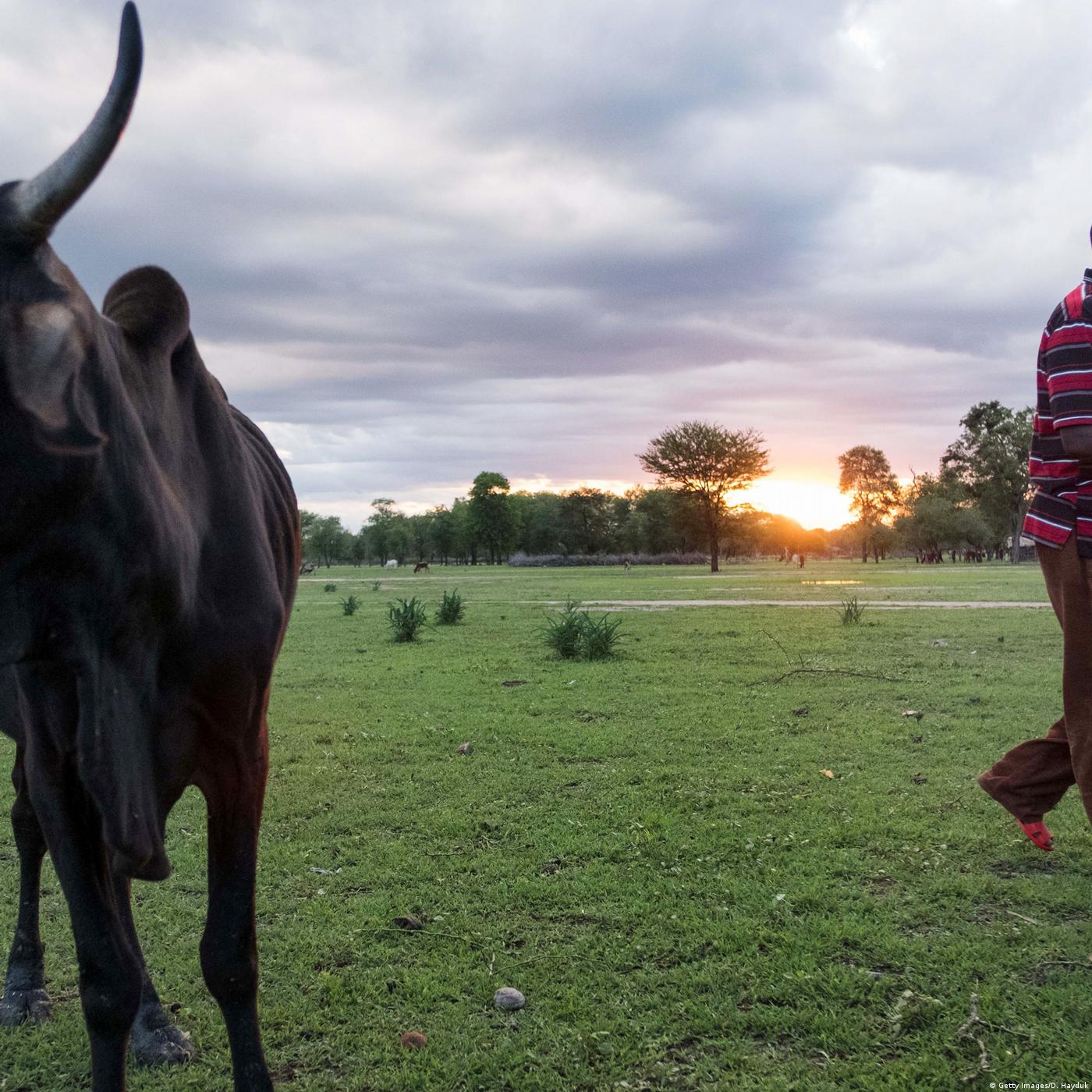Living Planet: Down on the farm