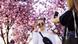 People take photos in front of the cherry blossoms in Bonn People take photos in front of the cherry blossoms in Bonn