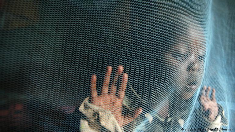 This heat wave is killing us 3 Net against malaria