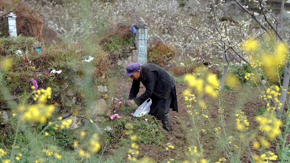 Ten years after the earthquake in China's Sichuan region DW 05/12/2018
