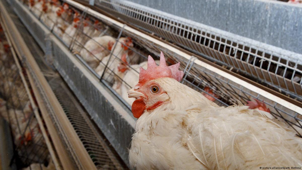 Jinsiy aloqa paytida havo tiqilib qoladi.