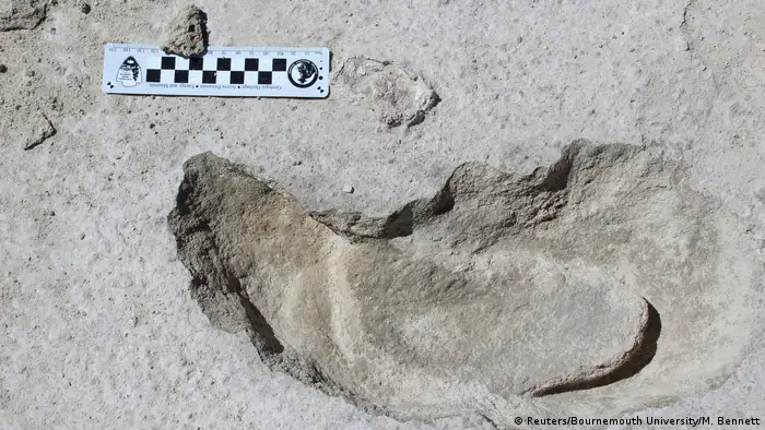 Tiere - Riesenfaultier - Fossile Spuren