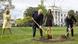 Macron and Trump plant a tree Macron and Trump plant a tree