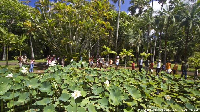Afrika botanischen Garten von Pamplemousses in Mauritius (picture-alliance/dpa/Global Travel Images)