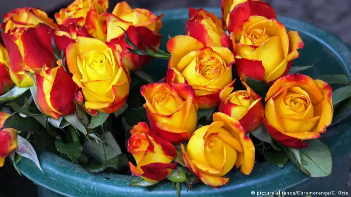 Blumen zum Muttertag mehrfarbige Rosen