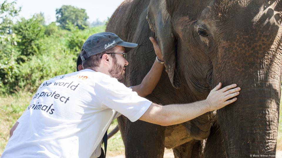 Learning to respect wild animals again – DW – 05/04/2018 Learning to respect wild animals again – DW – 05/04/2018