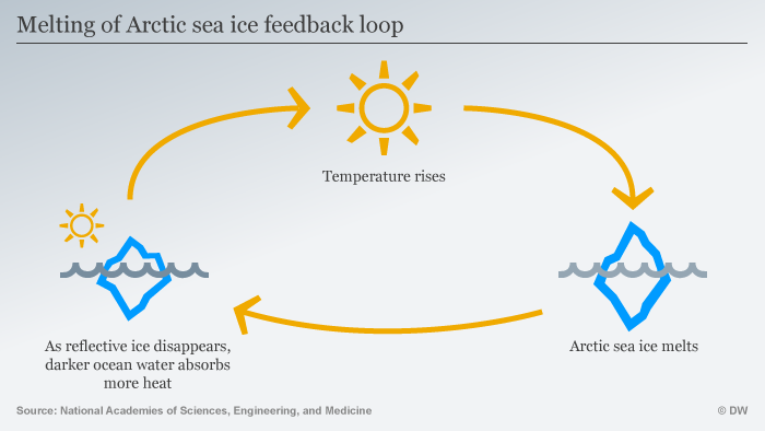 When nature harms itself: Five scary climate feedback loops | Environment |  All topics from climate change to conservation | DW | 04.05.2018