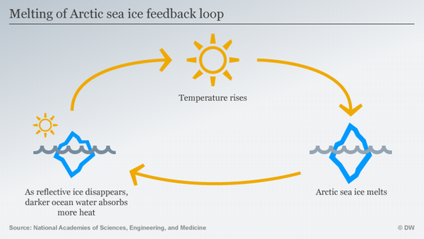 Negative Feedback Loop Examples Environment