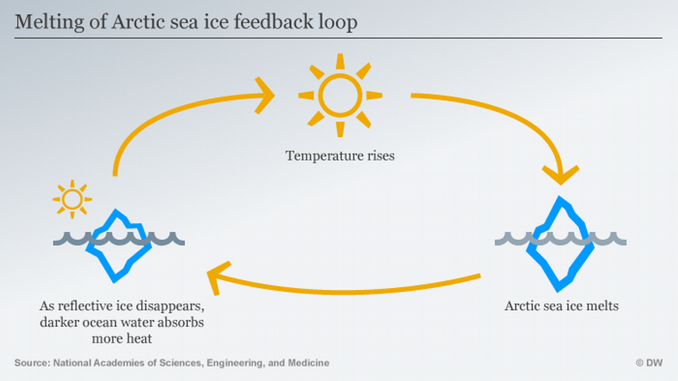 What Is A Negative Feedback Loop In Environmental Science